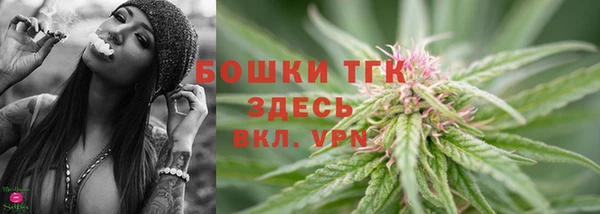 индика Белокуриха