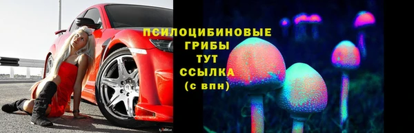 индика Белокуриха