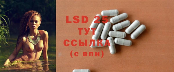 индика Белокуриха