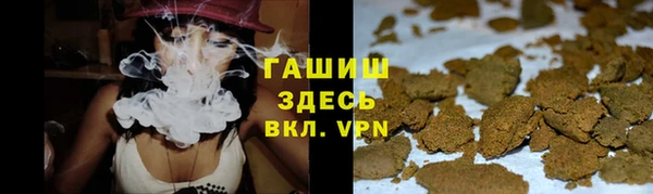индика Белокуриха