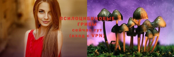 ПСИЛОЦИБИНОВЫЕ ГРИБЫ Балахна