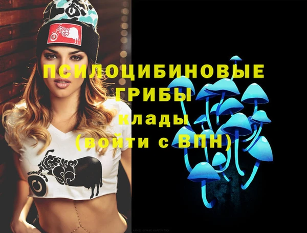 apvp Баксан