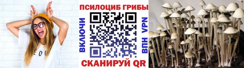 Псилоцибиновые грибы мухоморы Озёры